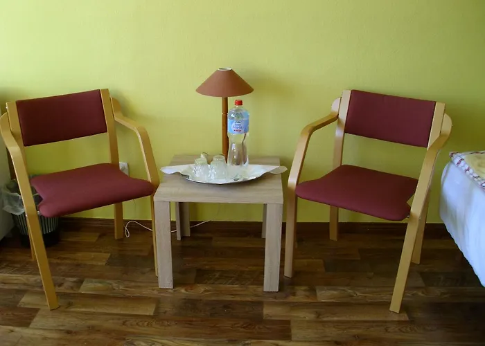 Goscinne Irene 旅馆 *